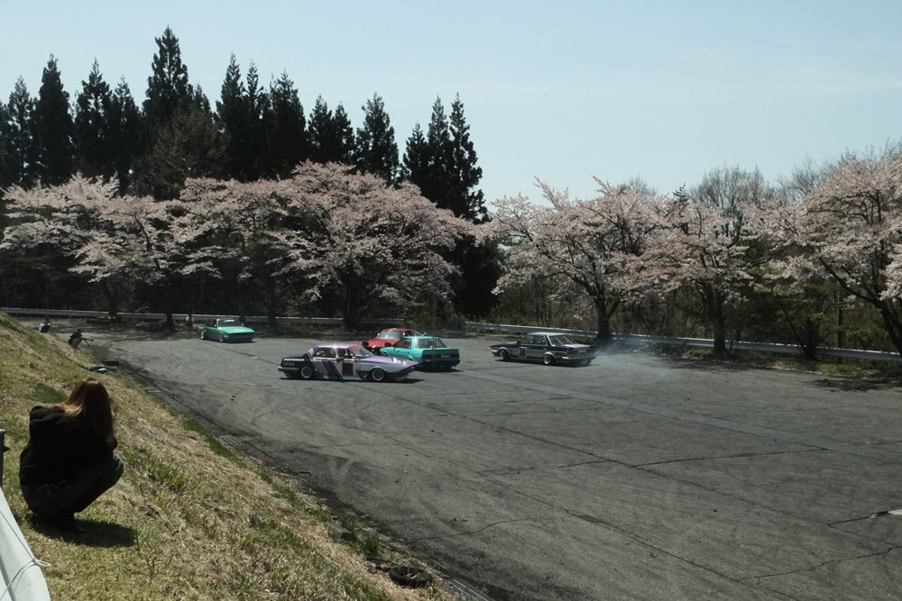 Cars drifting on a track surrounded by cherry blossom trees in full bloom.